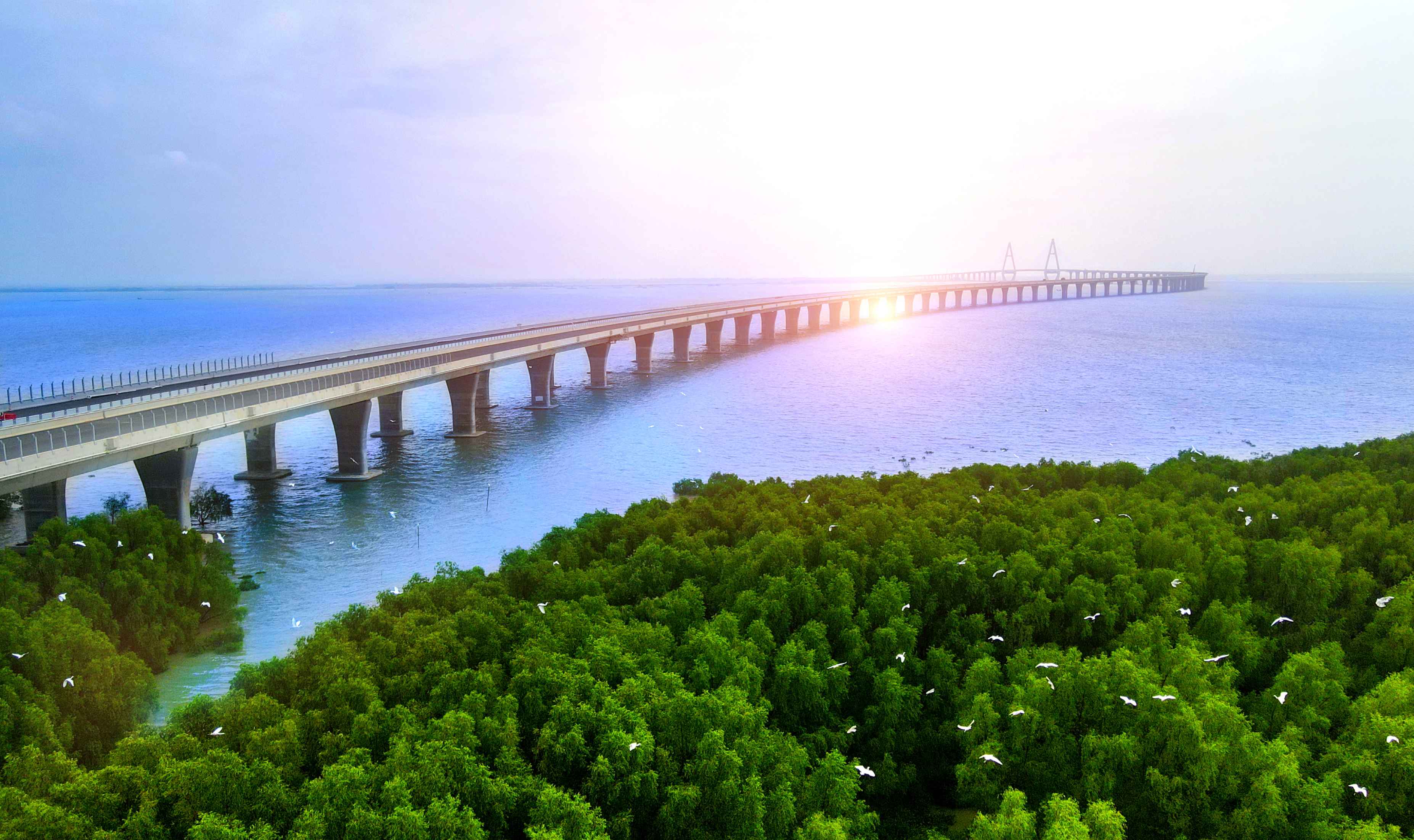 東雷高速為廣東省重點建設項目,呈東西向連接雷州半島和東海島,項目