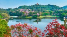 南风吹开木棉花!广州白云山“红棉舞台”红色文化系列活动开启 南风吹开木棉花!广州白云山“红棉舞台”红色文化系列活动开启