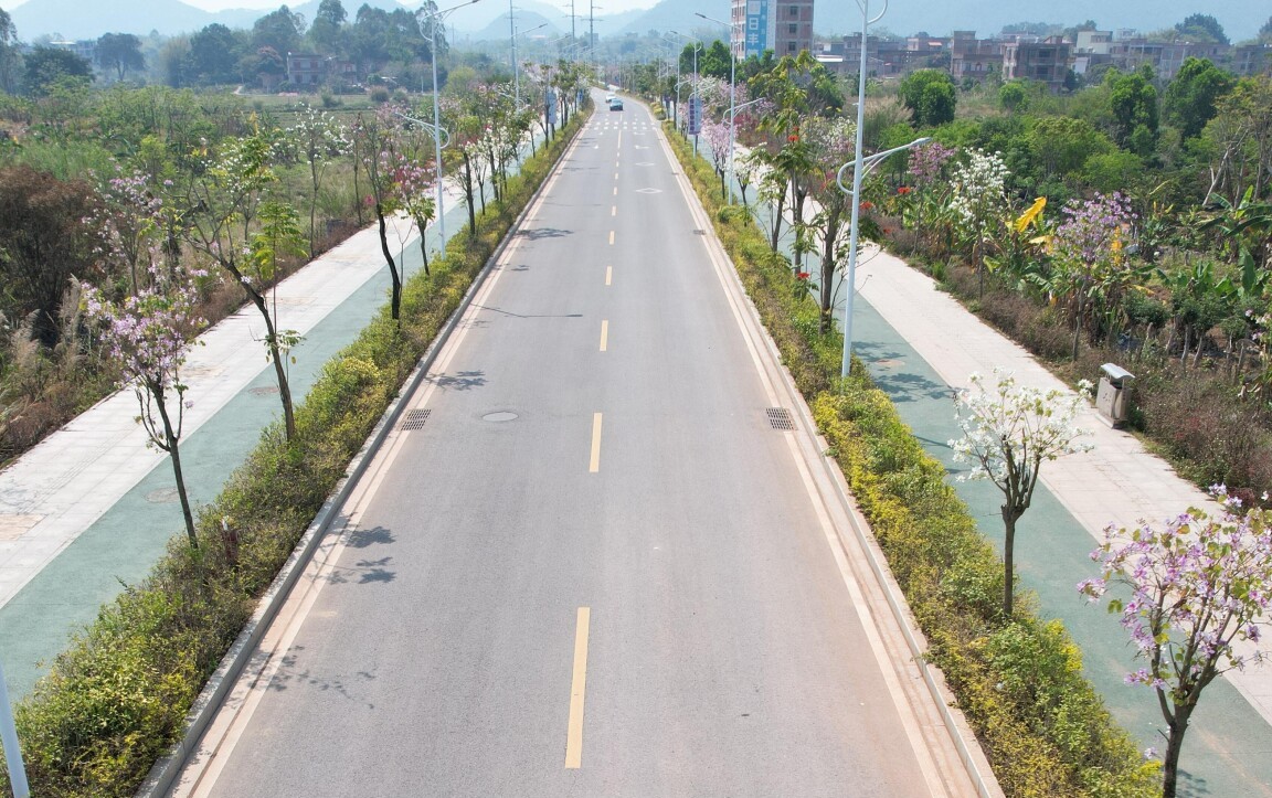 罗定市素龙街道：“十里花路”等君来 乡村绿化绘就生态新画卷