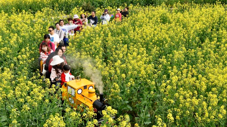 Chine : le printemps fait éclore l'économie du tourisme floral