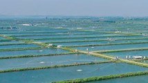 强信心 稳预期 促发展|一组海报,看广州经济“新蓝海” 强信心 稳预期 促发展|一组海报,看广州经济“新蓝海”