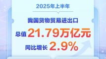2025年中国外贸半年报出炉 进出口总值同比增长2.9% 2025年中国外贸半年报出炉 进出口总值同比增长2.9%