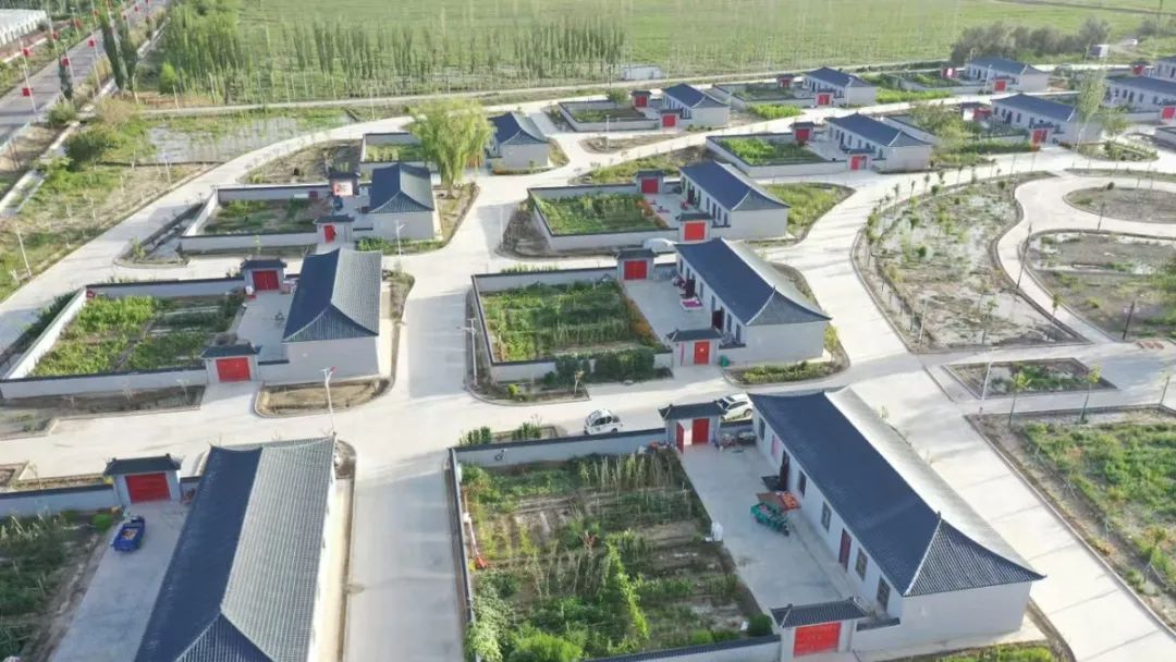 援疆粤动力，三师展新篇