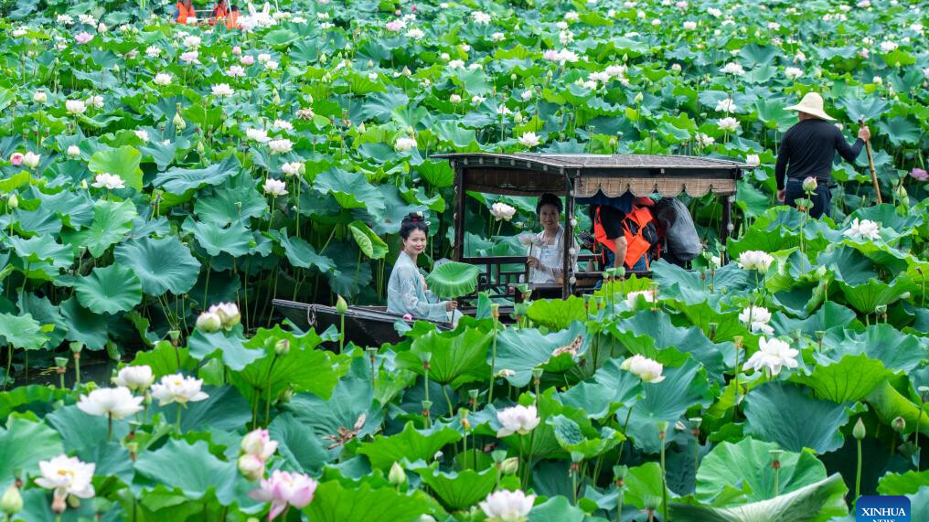 Heatwaves during summer vacation boost cooling economy across China
