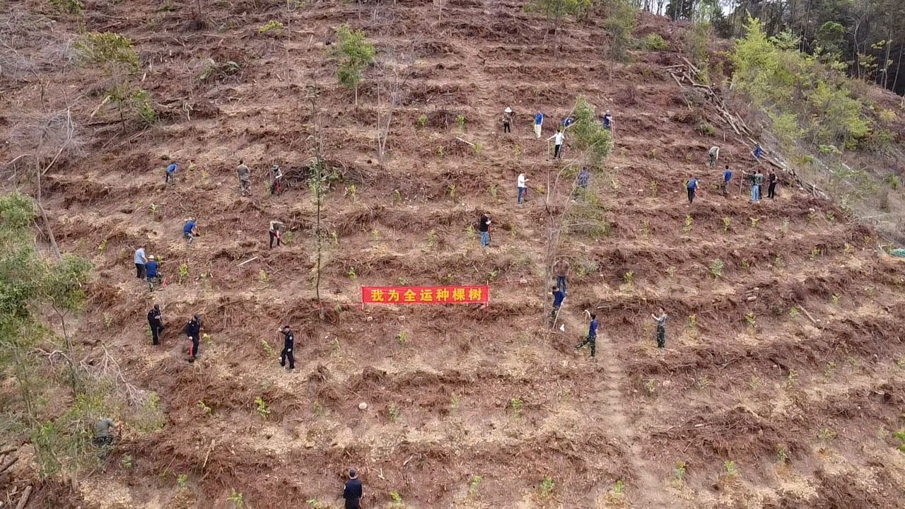 云勇林场组织开展“我为全运种棵树”义务植树活动（通讯员供图）