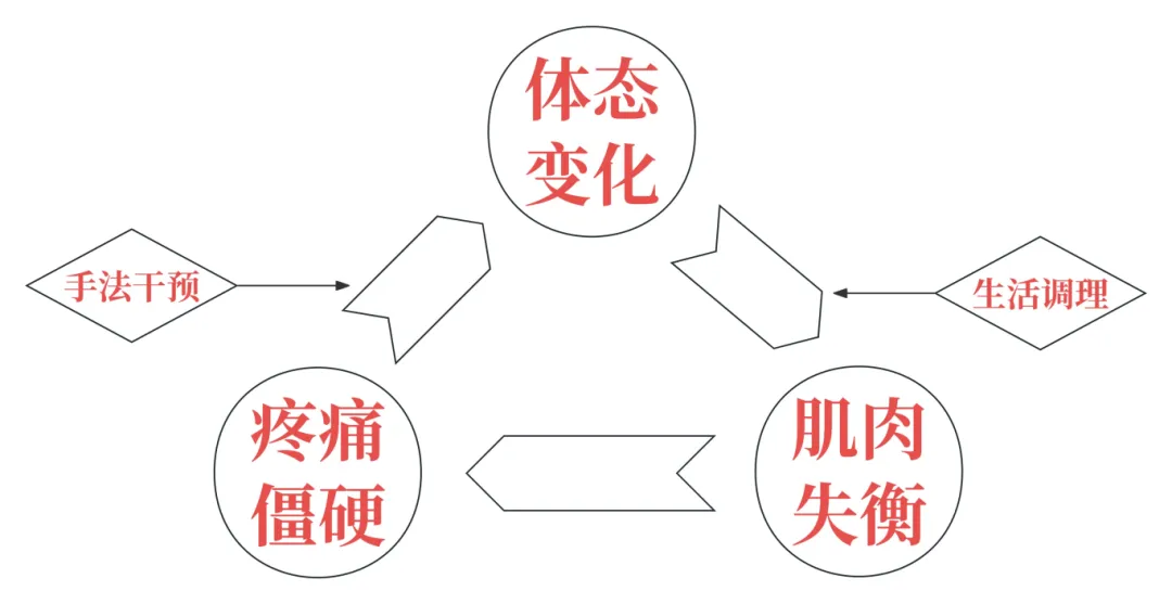 　　通过手法干预及生活调理改善上交叉综合征