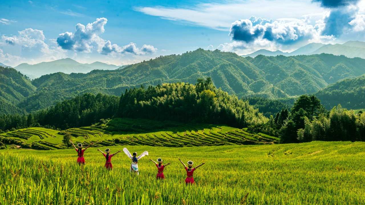 2024年中国农民丰收节活动累计带动农产品消费300多亿元