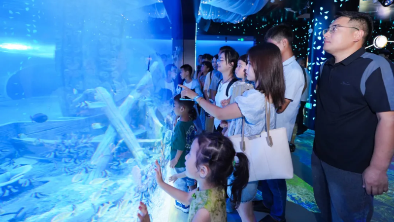 Indoor ocean world offers immersive marine experiences