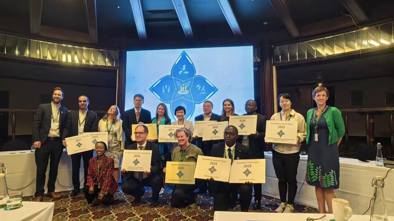 Shenzhen's mangrove conservation wins global accolades at COP15