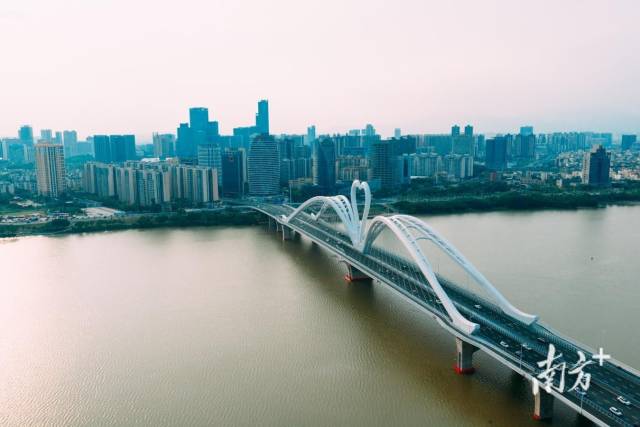 惠州鹅城大桥。