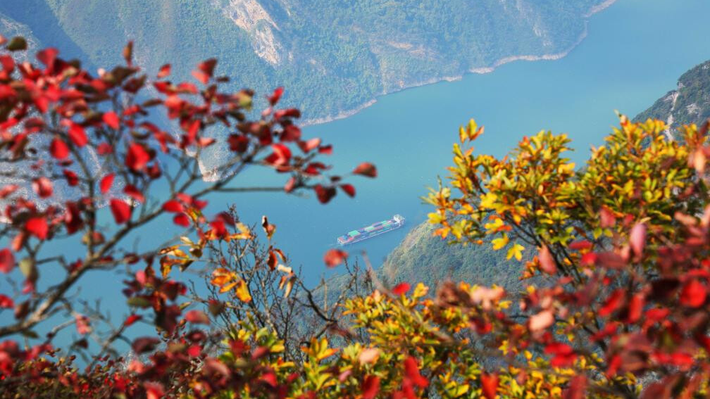 Charming autumn scenery across China