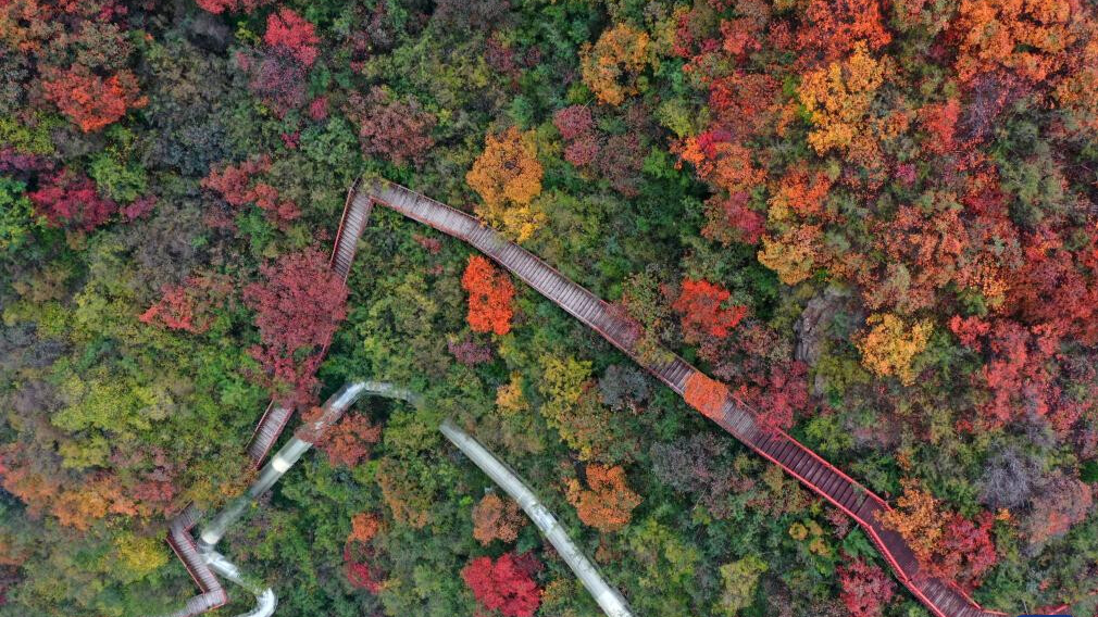 Charming autumn scenery across China