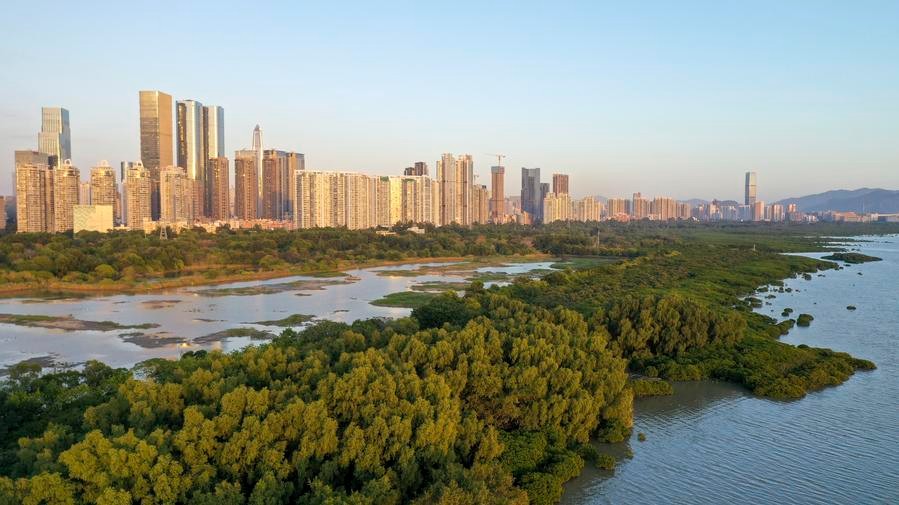 Agreement on establishing world's 1st international mangrove center signed in Shenzhen