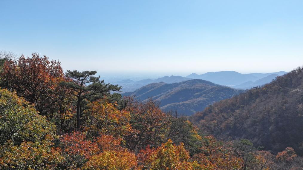 Autumn scenery in north China