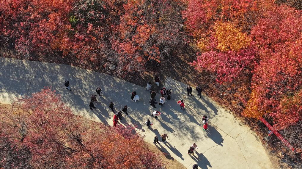 Autumn scenery in north China