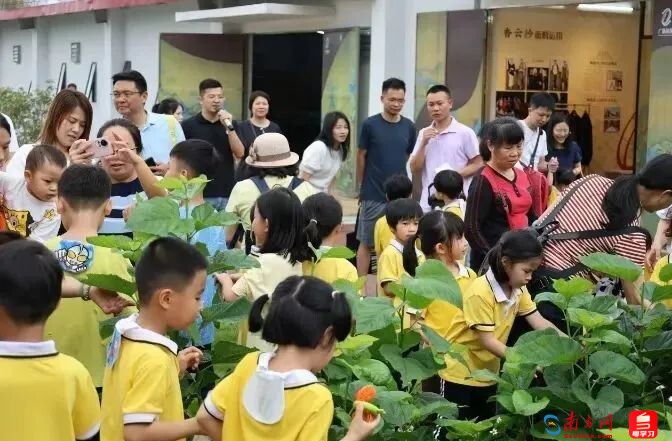 港口外貿(mào)表現(xiàn)亮眼！一季度廣州交通運輸業(yè)數(shù)據(jù)出爐