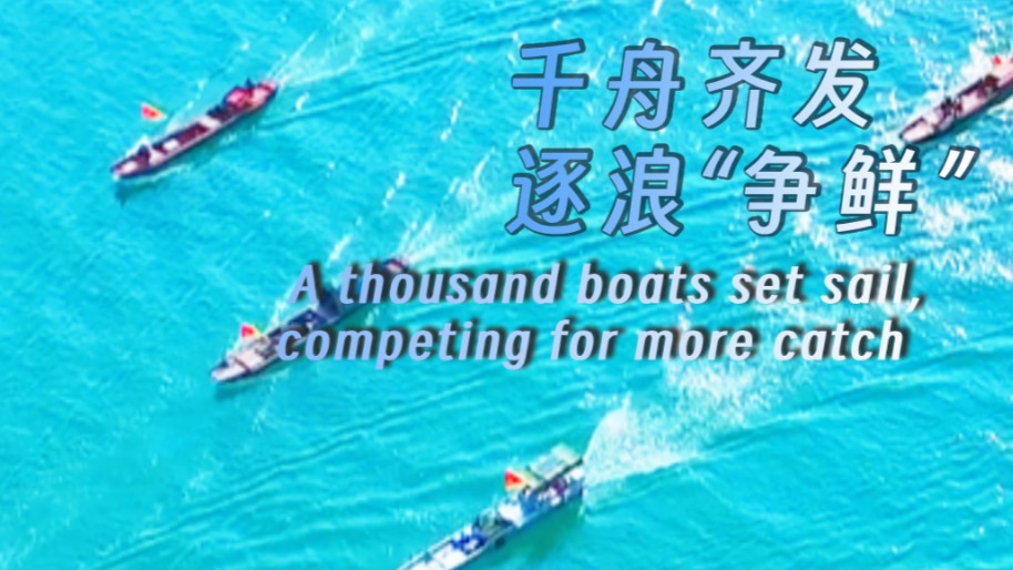 A thousand boats set sail, competing for more catch