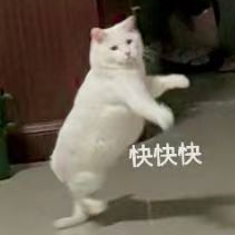 粤省事_20240408_100412.png