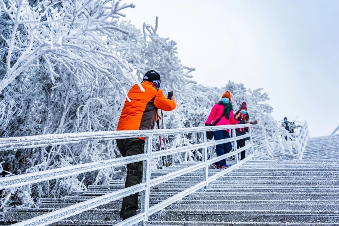 2024年1月,游客在金子山景区赏雪。(来源:金子山景区)