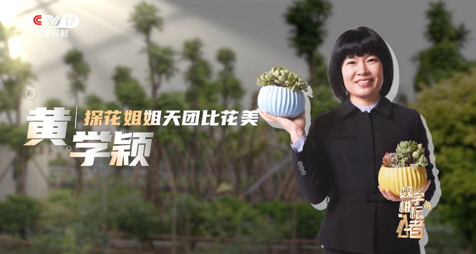 央视聚焦横栏“探花姐姐”！中山数字乡村工作再获点赞