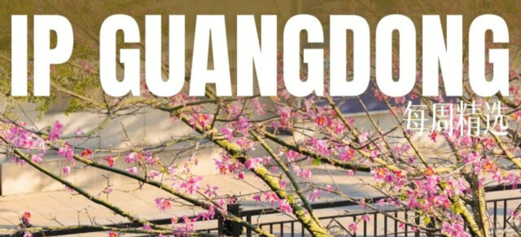 Weekly Highlights | 2026, unstoppable gallop in Guangdong