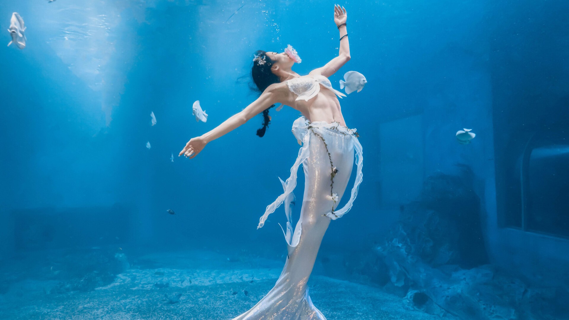 Mermaids gather in Shenzhen for the 2024 China Mermaid open!