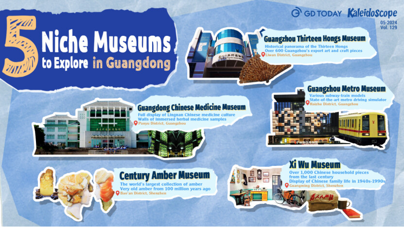 Five niche museums to explore in Guangdong