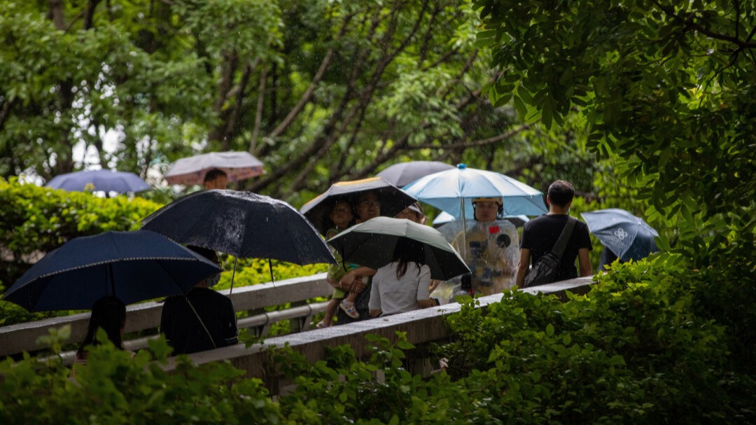 Pity! Heavy rain again over the weekend