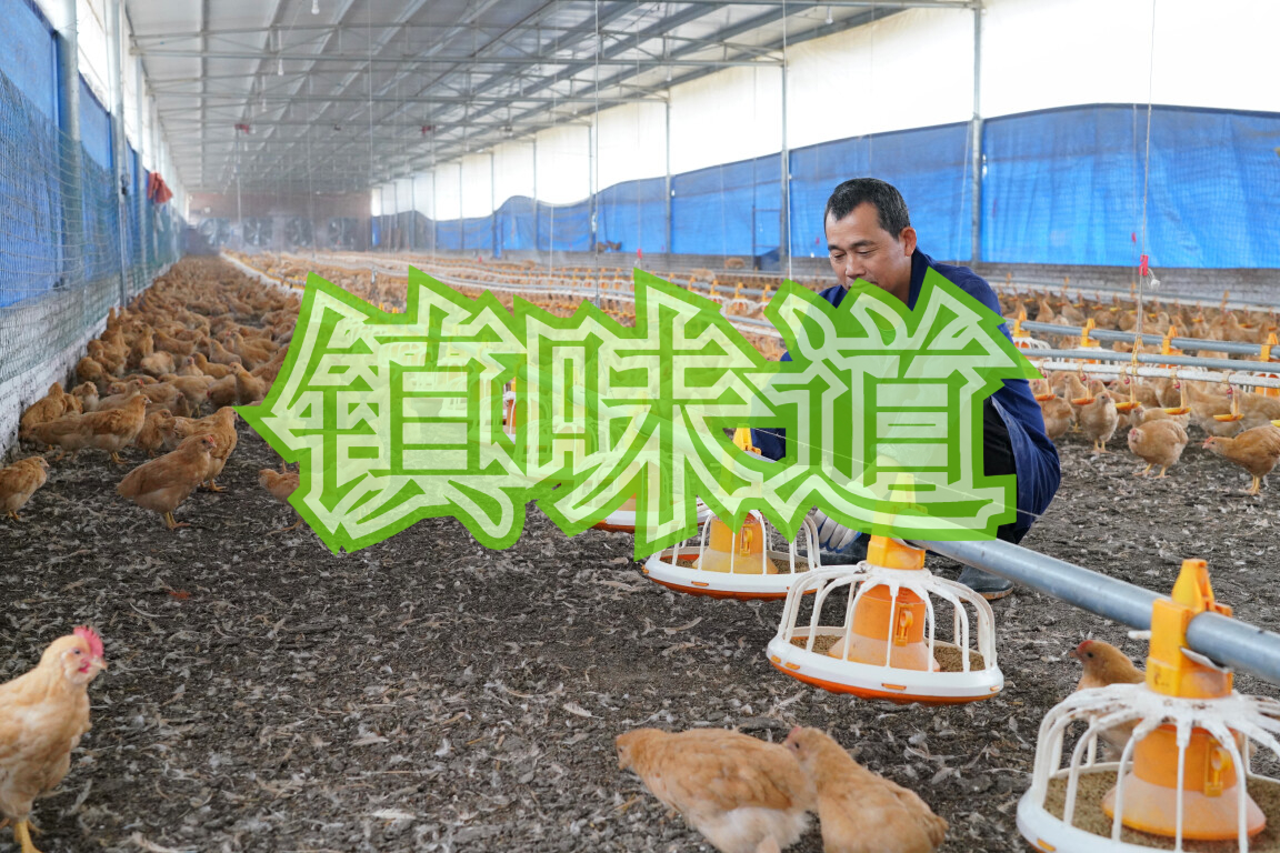 镇味道