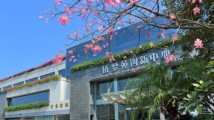 广东纵深推进两项“侨助行动” 这份“成绩单”很亮眼 广东纵深推进两项“侨助行动” 这份“成绩单”很亮眼