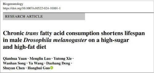 小果蝇寿命减一半！常吃反式脂肪会加速衰老、折损寿命？