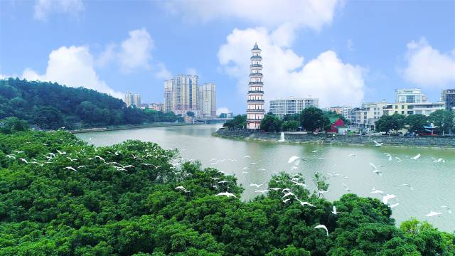 “广东农业第一县”的人气从何而来