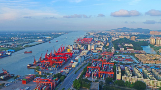 Zhongshan Port emerges as key pharma hub with medicine imports worth 1.1 billion yuan