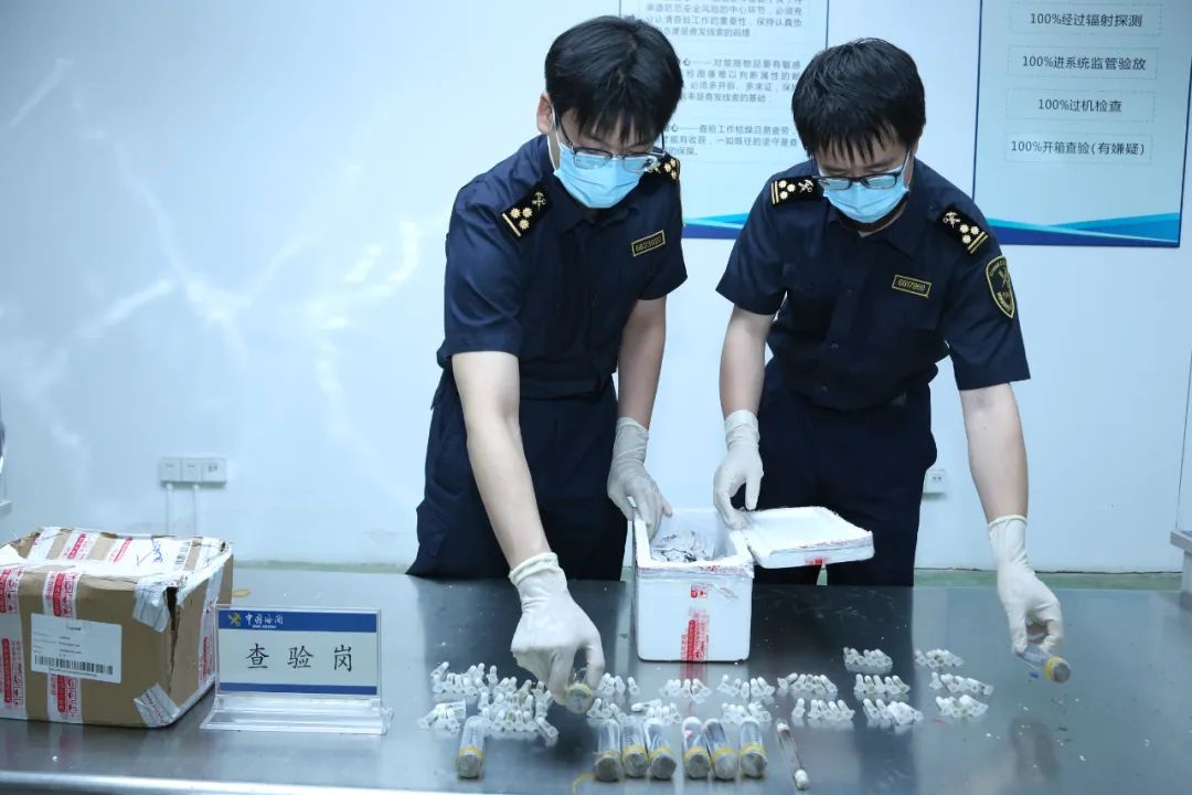 在海关中发现了7407蚂蚁！以“女士的顶部”表示