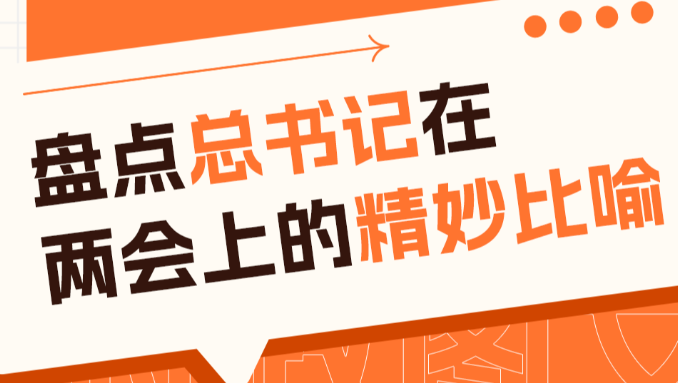Mark住！盘点总书记在两会上的精妙比喻