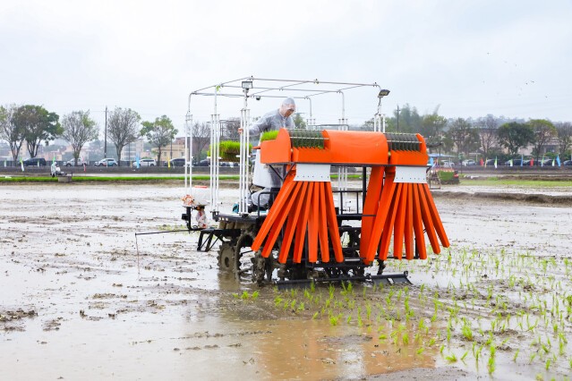 Spring ploughing in Guangdong showcases agricultural sci-tech advances