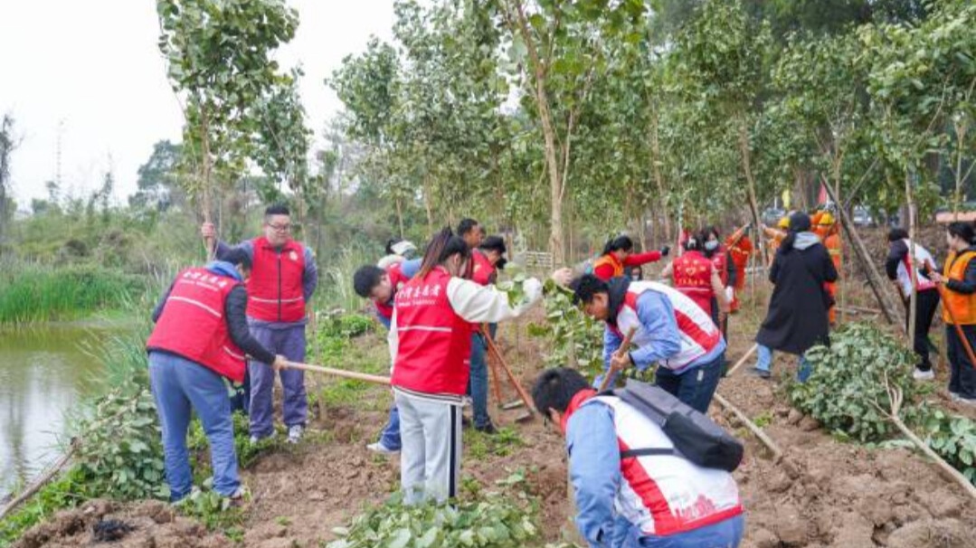 Guangdong's efforts on green development