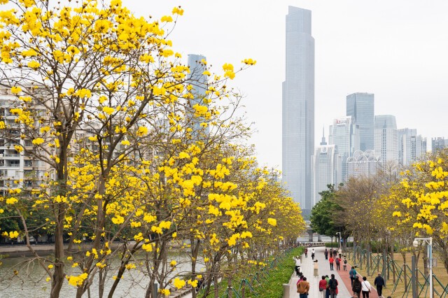 Say goodbye to sunshine and hello to rainy pattern
