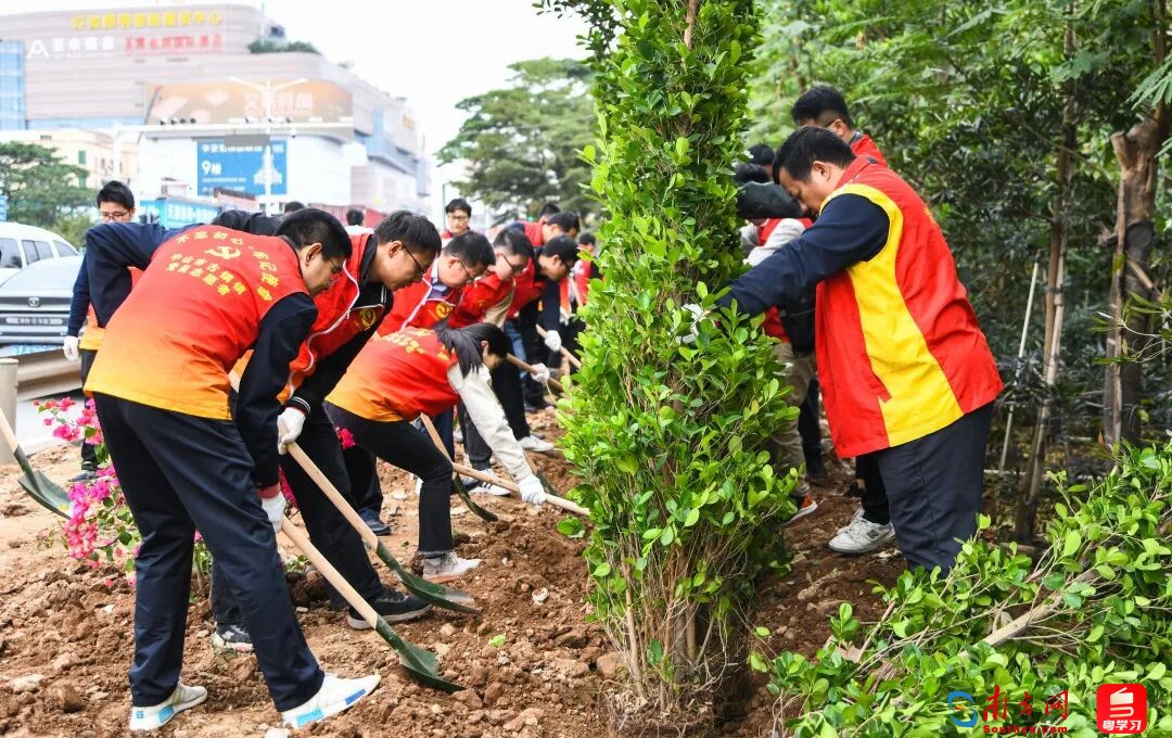中山开展党建引领绿美古镇乡村绿化行动植树活动(通讯员供图)