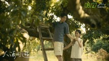 《人海同游》:穿过这片雾,你还是原来那个人吗 《人海同游》:穿过这片雾,你还是原来那个人吗