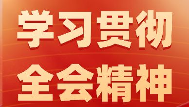 全省各地党委社会工作部门深入学习贯彻党的二十届四中全会精神（二）