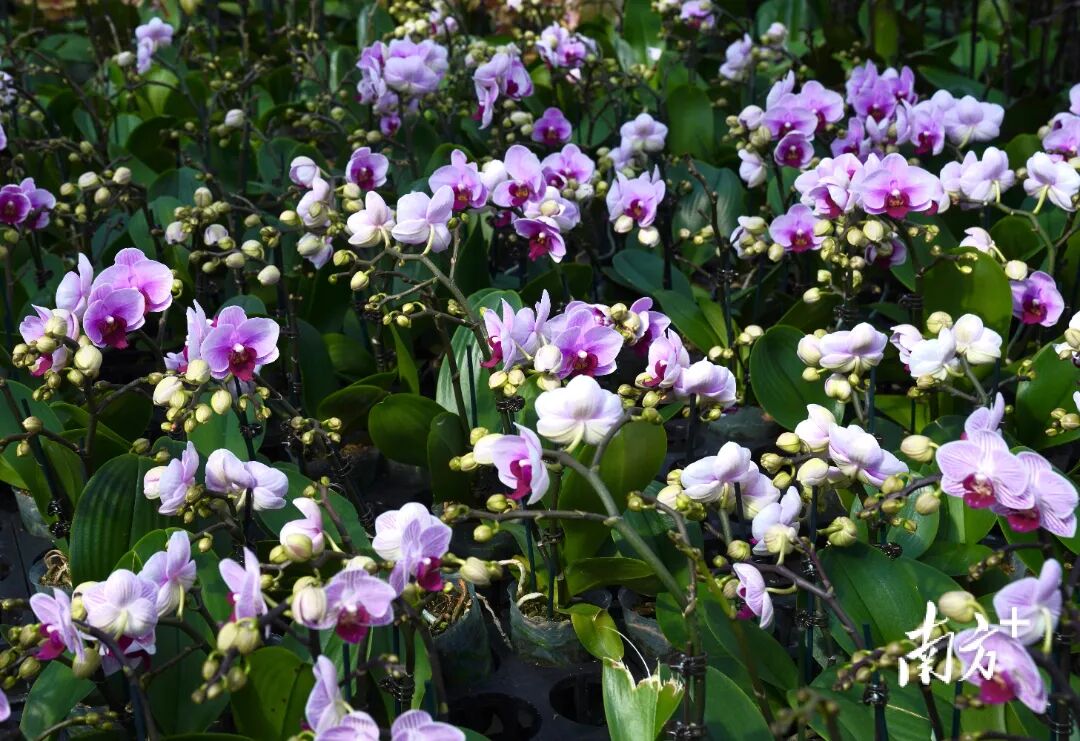 微信图片_2025-11-24_111152_531 (1).jpg