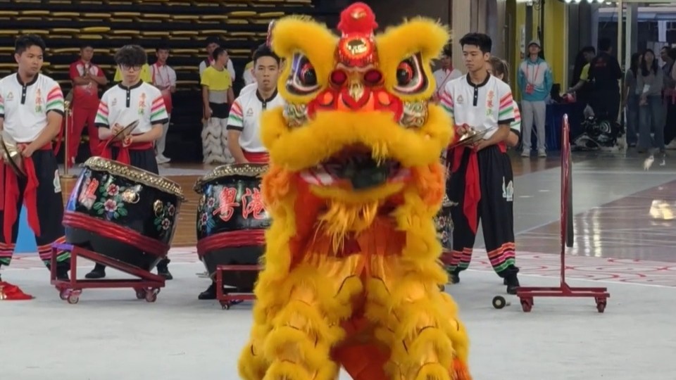 十五运会：小醒狮KO大螃蟹，霸气又可爱