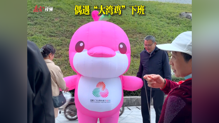偶遇“大湾鸡”下班