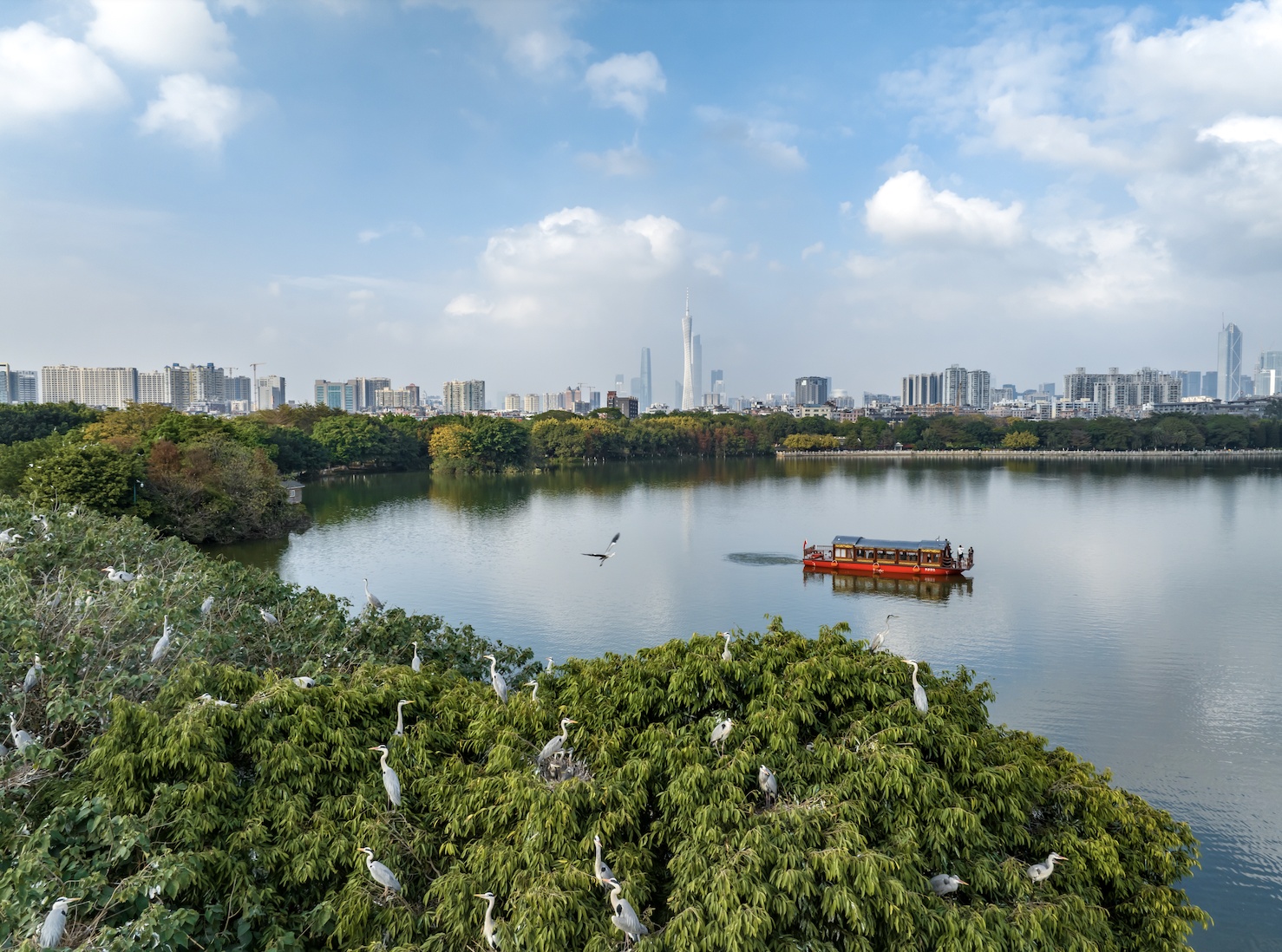 绿美广东：海珠湿地公园