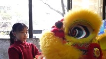 醒狮正少年!这只“小狮子”舞出锋芒、舞出传承 醒狮正少年!这只“小狮子”舞出锋芒、舞出传承