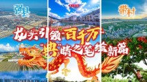 龙头引领“百千万”,“典”睛之笔绘新篇 龙头引领“百千万”,“典”睛之笔绘新篇