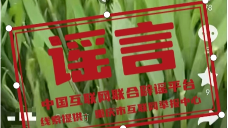 今日辟谣（2025年4月10日）