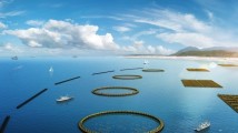 广东海洋生产总值率先突破2万亿元,连续30年稳居全国首位 广东海洋生产总值率先突破2万亿元,连续30年稳居全国首位