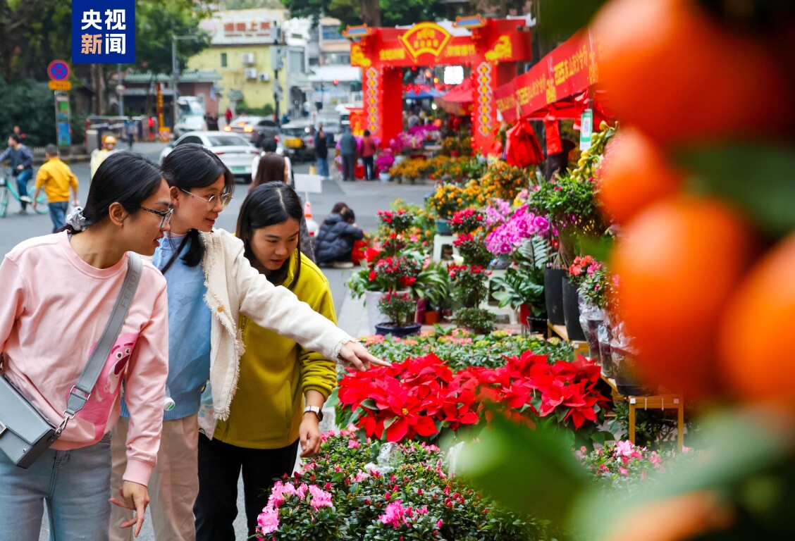 美好時(shí)光里 灣區(qū)花正開